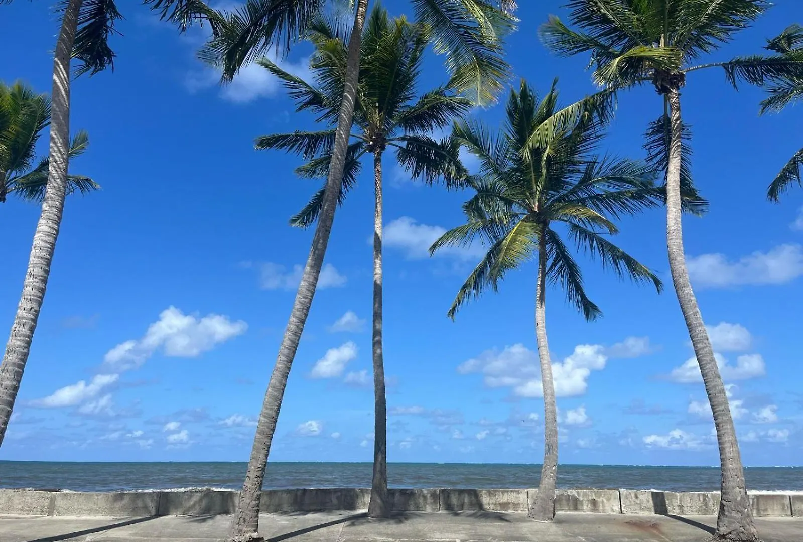 La Maison De Venus Maisonnette Privee A 3 Min A Pieds Du Front De Mer Le Vauclin